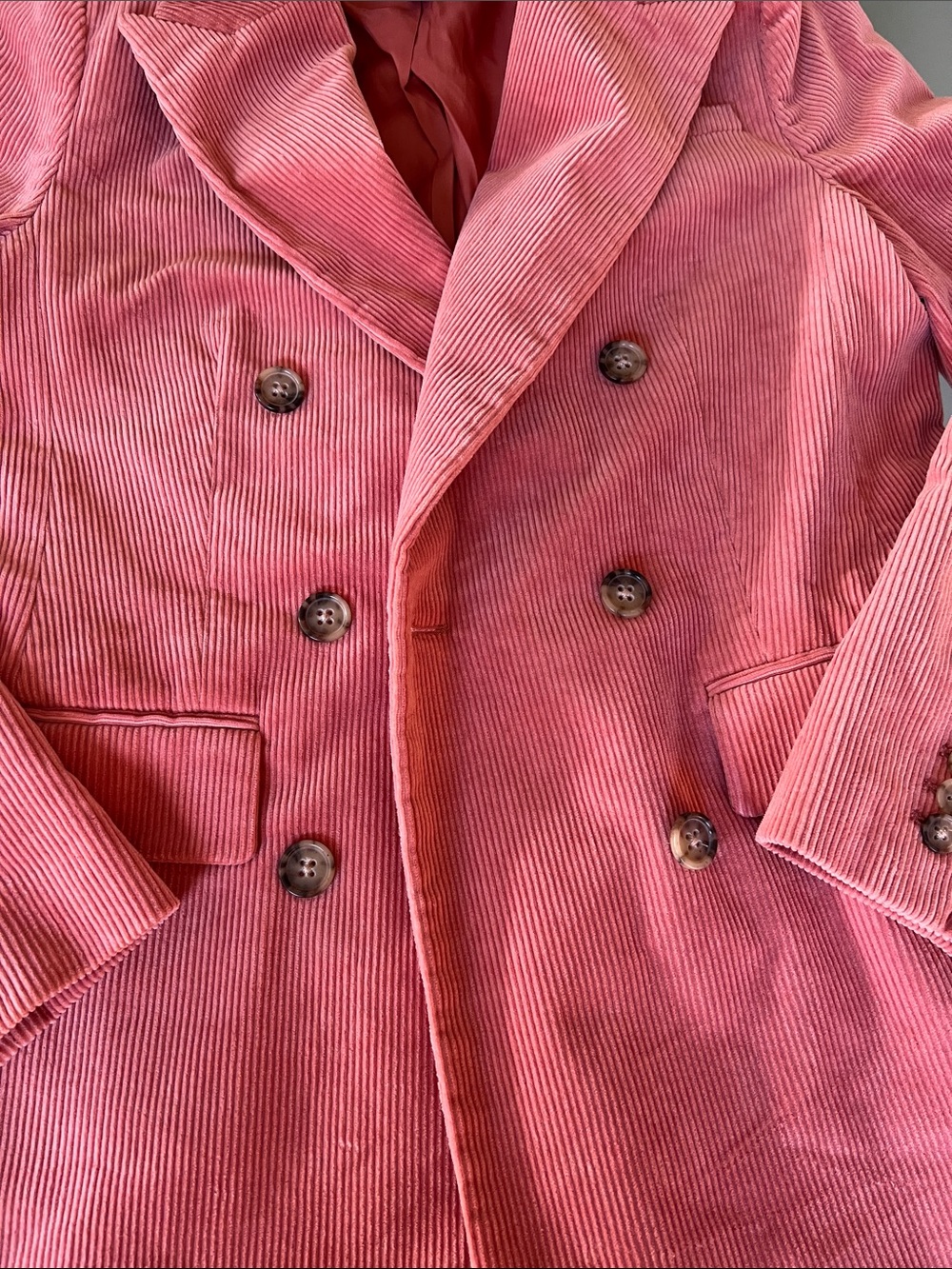 Banana Republic Corduroy Double-Breasted Blazer Jacket - Picture 4 of 9